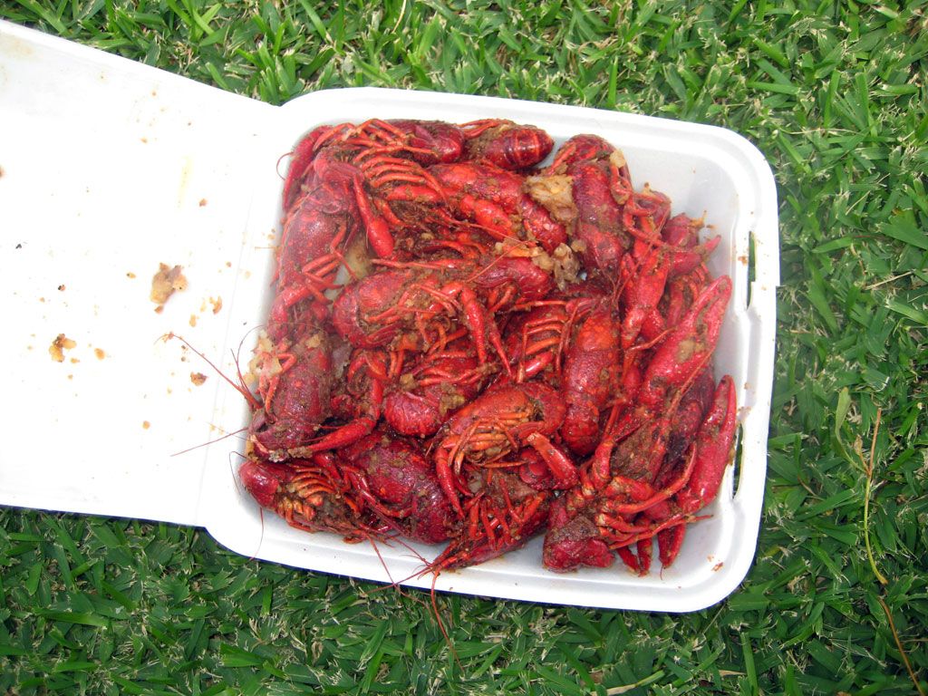 Very Do you really suck crawdad heads the incorrect Really. Do you really suck crawdad heads opinion